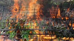 Recepta de cuina de Calçots a la llenya de sarment
